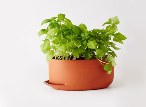 Herb Pots by Anderssen Voll for Mjolk