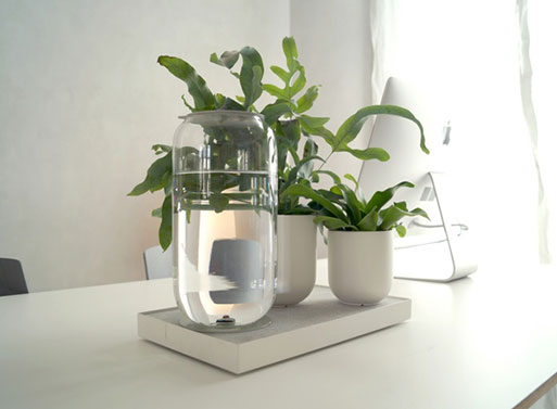 Tableau, the Automatic House Plant Watering Tray by Pikaplant