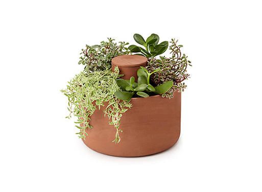 Self Watering Planter by Joey Roth